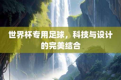 世界杯专用足球，眉山市正发家政服务有限公司科技与设计的完美结合