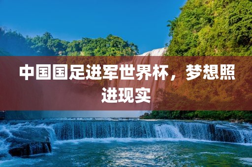 中国国足进军世界杯，梦想照进现实眉山市正发家政服务有限公司