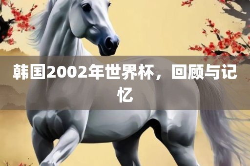 韩国2002年世界杯，回顾与记忆眉山市正发家政服务有限公司