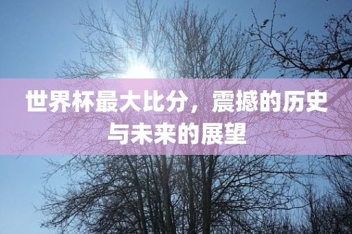 世界杯最大比分，震撼的历史与未来的展望眉山市正发家政服务有限公司