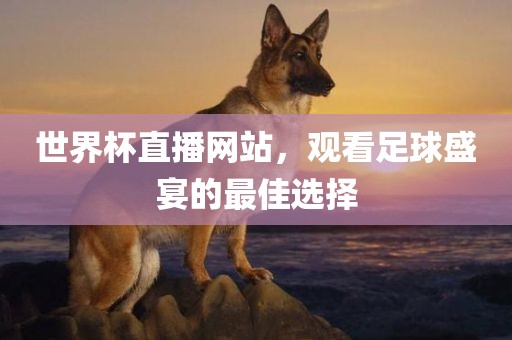 世界杯直播网站，观看足球盛宴的最佳选择