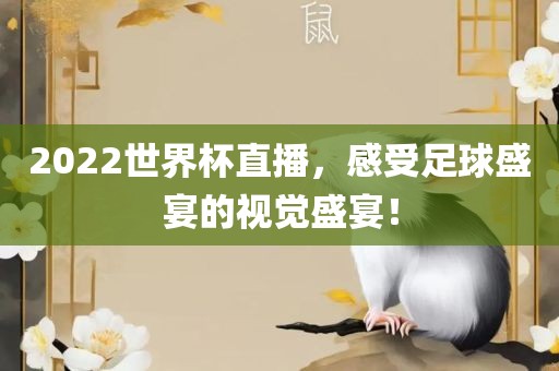 2022世界杯直播，眉山市正发家政服务有限公司感受足球盛宴的视觉盛宴！
