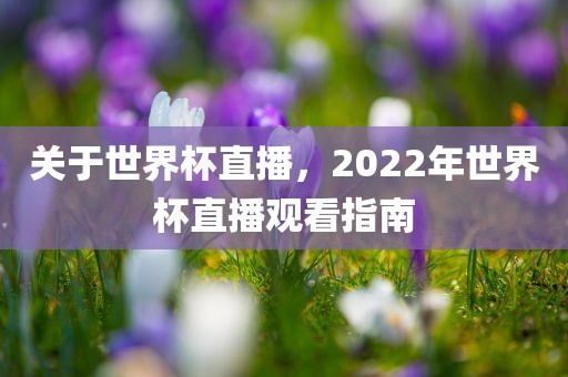 关于世界杯直播，2022年世界杯直播观看指南眉山市正发家政服务有限公司