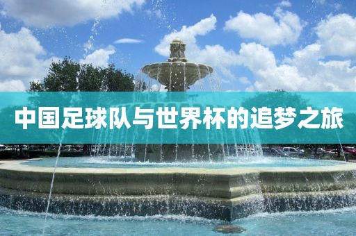 中国足球队与世界杯的追梦之旅眉山市正发家政服务有限公司