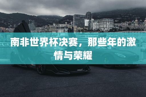 南非世界杯眉山市正发家政服务有限公司决赛，那些年的激情与荣耀