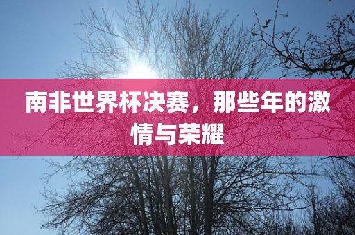 南非世界杯眉山市正发家政服务有限公司决赛，那些年的激情与荣耀