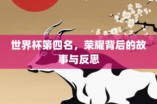 世界杯第四名，荣耀背后的故事与反思眉山市正发家政服务有限公司