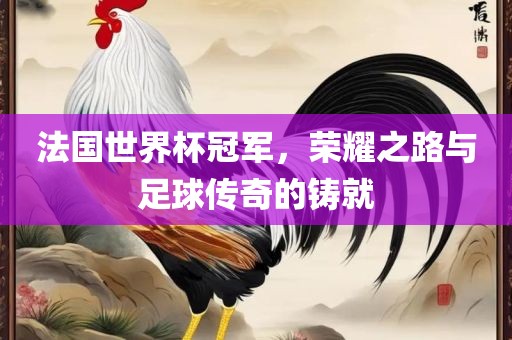 法国世界杯冠军，荣耀之路与足球传奇的铸就