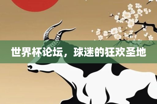 世界杯论坛，球迷的狂欢圣地