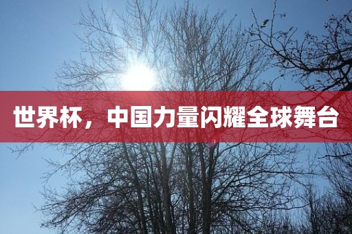 世界杯，中国力量闪耀全球舞台
