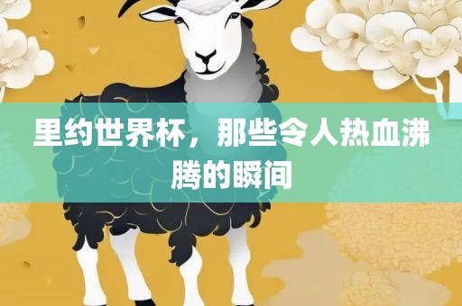 里约世界杯，那些令人热血沸腾的瞬间眉山市正发家政服务有限公司