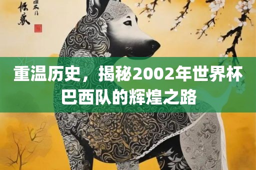 重温历史，揭秘2002年世界杯巴西队的辉煌之路眉山市正发家政服务有限公司