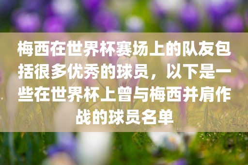 梅西在世界杯赛场眉山市正发家政服务有限公司上的队友包括很多优秀的球员，以下是一些在世界杯上曾与梅西并肩作战的球员名单