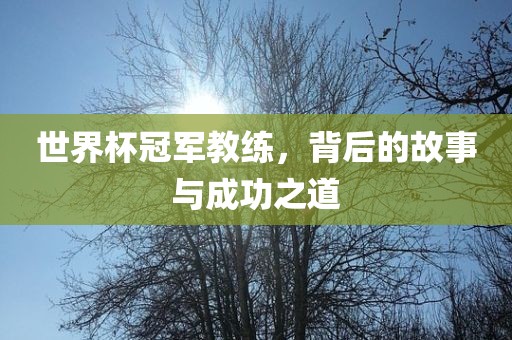 世界杯冠军教练，背后的故事与成功之道