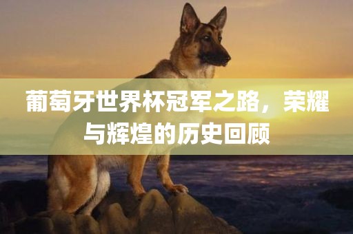 葡萄牙世界杯冠军之路，荣耀与辉煌的历史回顾
