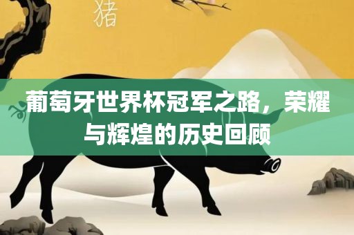葡萄牙世界杯冠军之路，荣耀与辉煌的历史回顾