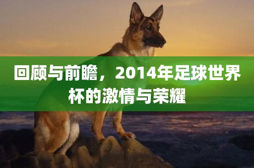 回顾与前瞻，2014年足球世界杯的激情与荣耀眉山市正发家政服务有限公司