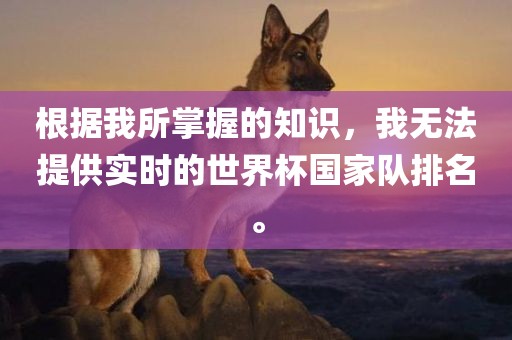 根据我所掌握的知识，我无法提供实时的世界杯国家队排名。
