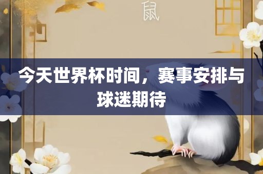 今天世界杯时间，赛事安排与球迷期待