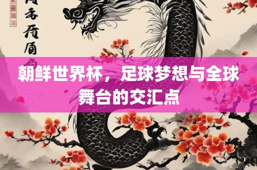 朝鲜世界杯，足球梦想与全球舞台的交汇点