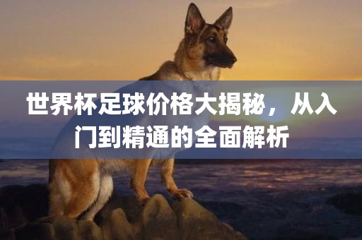 世界杯足球价格大揭秘，从入门到精通的全面解析