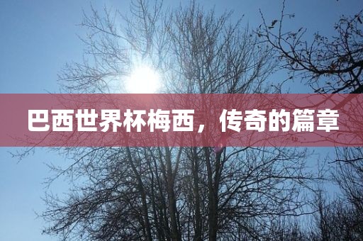 巴西世界杯梅西，传奇的篇章