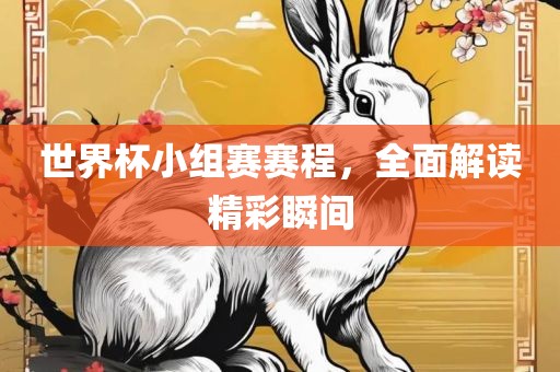 世界杯小组赛赛程，全面解读精彩瞬间