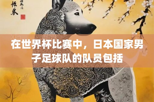 在世界杯比赛中，日本国家男子足球队的队员包括眉山市正发家政服务有限公司