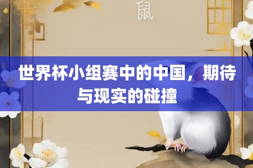 世界杯小组赛中的中国，期待与现实的碰撞