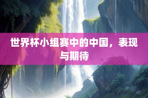 世界杯小组赛中的中国，表现与期待眉山市正发家政服务有限公司