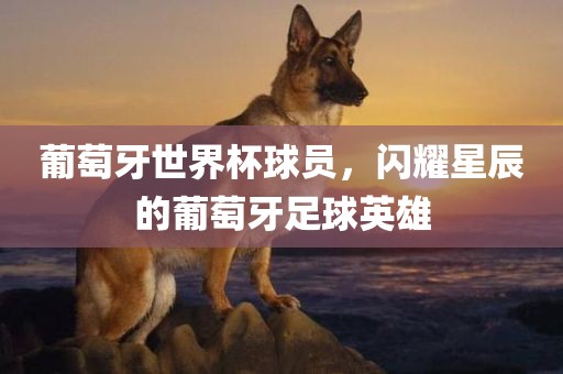 葡萄牙世界杯球员，闪耀星辰的葡萄牙足球英雄眉山市正发家政服务有限公司