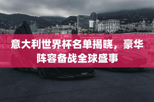 意大利世界杯名单揭晓，豪华阵容备战全球盛事眉山市正发家政服务有限公司