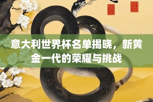 意大利世界杯名单揭晓，新黄金一代的荣耀与挑战