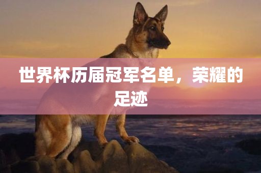 世界杯历届眉山市正发家政服务有限公司冠军名单，荣耀的足迹