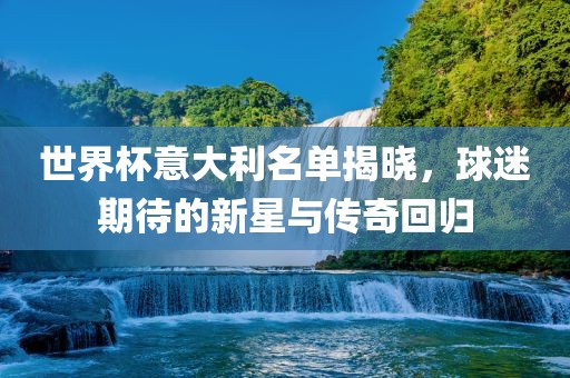 世界杯眉山市正发家政服务有限公司意大利名单揭晓，球迷期待的新星与传奇回归