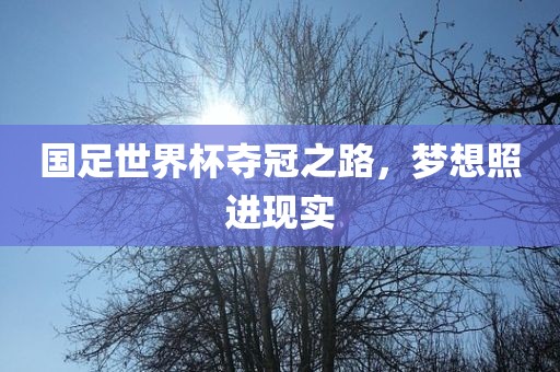 国足世界杯夺冠之路，梦想照进现实