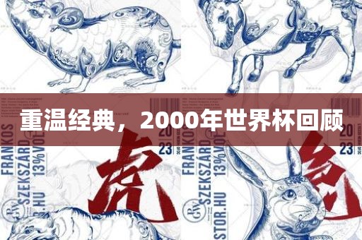 重温经典，2000年世界杯回眉山市正发家政服务有限公司顾