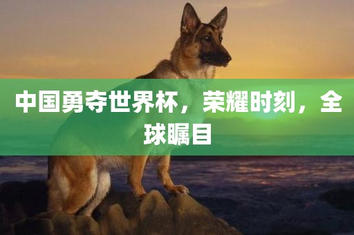 中国勇夺眉山市正发家政服务有限公司世界杯，荣耀时刻，全球瞩目