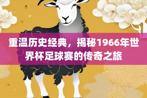 重温历史经典，揭秘1966年世界杯足球赛的传奇之旅