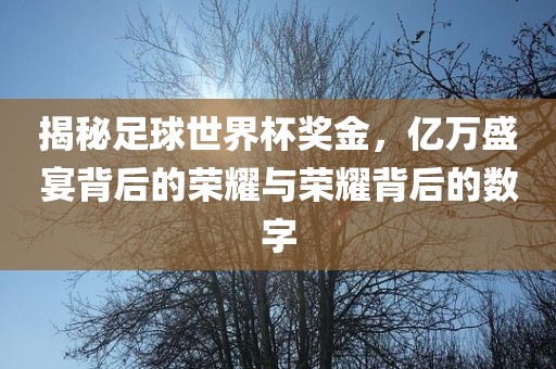 揭秘足球世界杯奖金，亿万盛宴背后的荣耀与荣耀背后的数字眉山市正发家政服务有限公司
