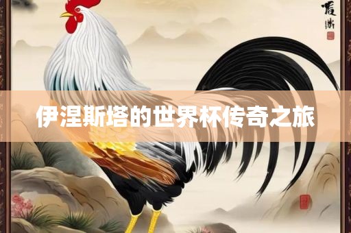 伊涅斯塔的世界杯传奇之旅
