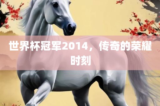 世界杯冠军2014，传奇的荣耀时刻