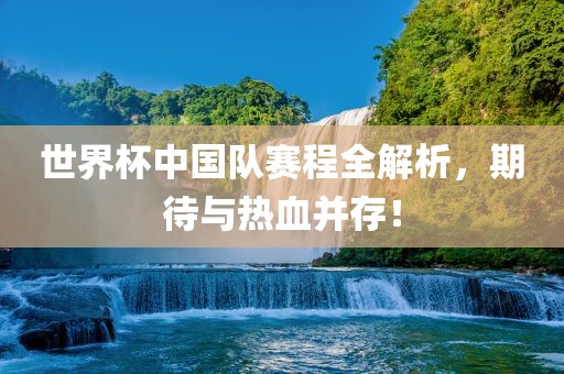 世界杯中国队赛程全解析，期待与热血并存！眉山市正发家政服务有限公司