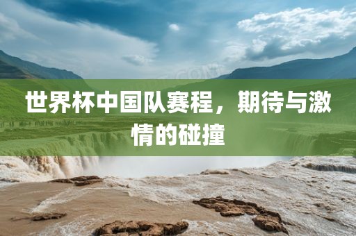 世界杯中国队赛程，期待与激情的碰撞眉山市正发家政服务有限公司