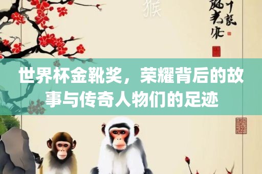 世界杯金靴奖，荣耀背后的故事与传奇人物们的足迹