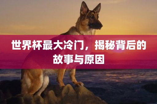 世界杯最大冷门，揭秘背后的故事与原因