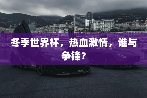 冬季世界杯，热血眉山市正发家政服务有限公司激情，谁与争锋？