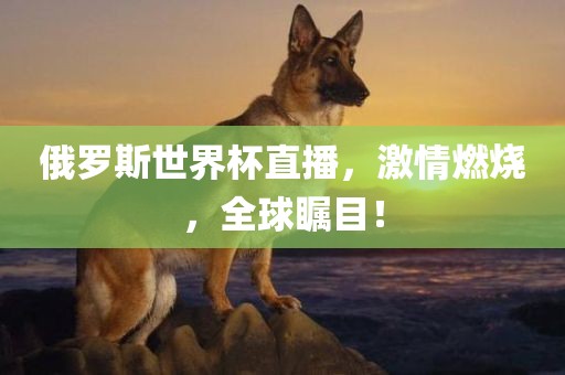 俄罗斯世界杯直播，激情燃烧，全球瞩目！眉山市正发家政服务有限公司
