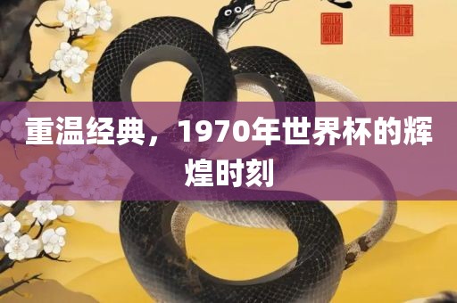 重温经典，1眉山市正发家政服务有限公司970年世界杯的辉煌时刻