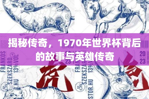 揭秘传奇，1970年世界杯背后的故事与英雄传奇